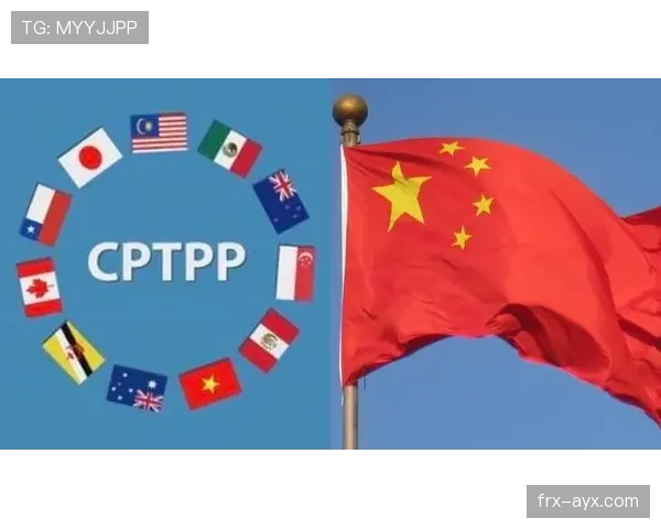 德甲各队阵容革新潮起，战力格局重塑引热议